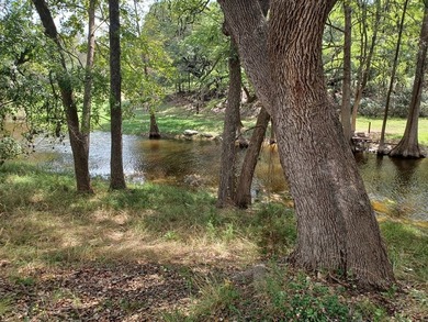 Verde Creek and Elm Creek are on this property. Elm Creek has a - photo 4