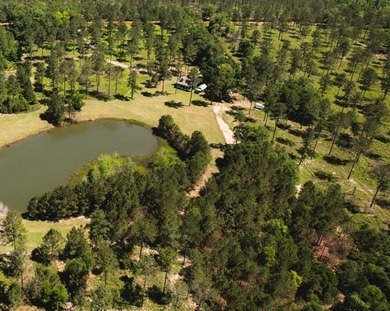 Nestled within a serene nature sanctuary, this remarkable - photo 5