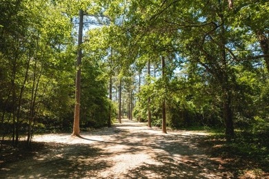 Nestled within a serene nature sanctuary, this remarkable - photo 6