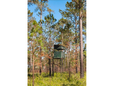 Nestled within a serene nature sanctuary, this remarkable - photo 8