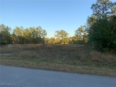 Lehigh Acres Area Lot For Sale in Lehigh Acres Florida
