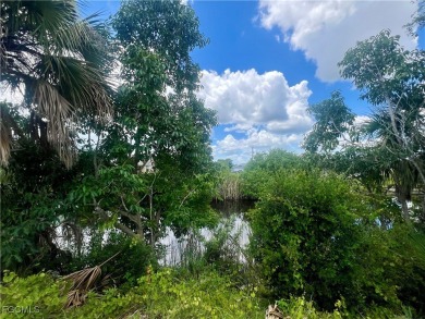 Cape Coral Lakes Area Lot For Sale in Cape Coral Florida