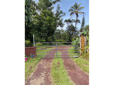 Enjoy tropical paradise in this comfortable 4 bedroom, 2 bath - photo 22