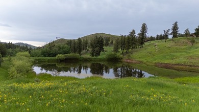 Rist Canyon Ranch is a rare combination of beauty, productivity - photo 31