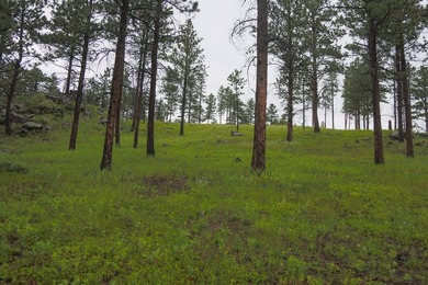 Rist Canyon Ranch is a rare combination of beauty, productivity - photo 34