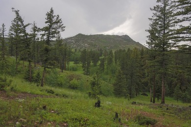 Rist Canyon Ranch is a rare combination of beauty, productivity - photo 35