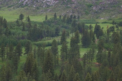Rist Canyon Ranch is a rare combination of beauty, productivity - photo 36
