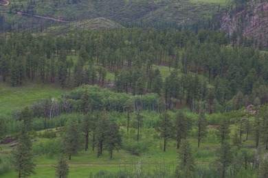 Rist Canyon Ranch is a rare combination of beauty, productivity - photo 37