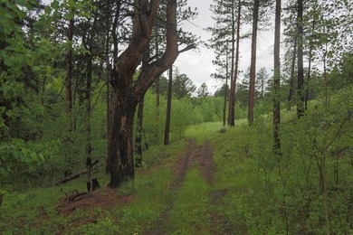 Rist Canyon Ranch is a rare combination of beauty, productivity - photo 38