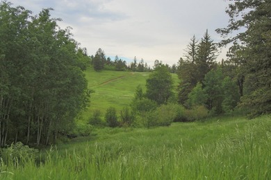 Rist Canyon Ranch is a rare combination of beauty, productivity - photo 39