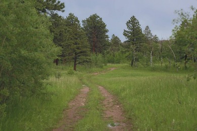 Rist Canyon Ranch is a rare combination of beauty, productivity - photo 40