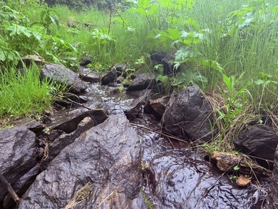 Rist Canyon Ranch is a rare combination of beauty, productivity - photo 41