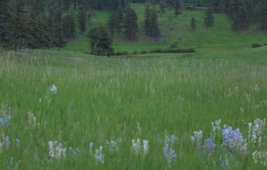 Rist Canyon Ranch is a rare combination of beauty, productivity - photo 42