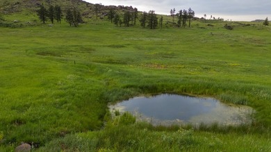 Rist Canyon Ranch is a rare combination of beauty, productivity - photo 43