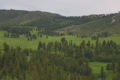 Rist Canyon Ranch is a rare combination of beauty, productivity - photo 44