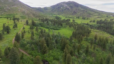 Rist Canyon Ranch is a rare combination of beauty, productivity - photo 45