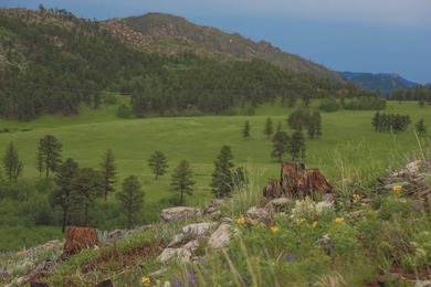 Rist Canyon Ranch is a rare combination of beauty, productivity - photo 46