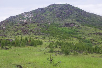Rist Canyon Ranch is a rare combination of beauty, productivity - photo 47