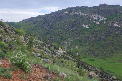 Rist Canyon Ranch is a rare combination of beauty, productivity - photo 49