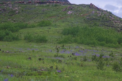 Rist Canyon Ranch is a rare combination of beauty, productivity - photo 50
