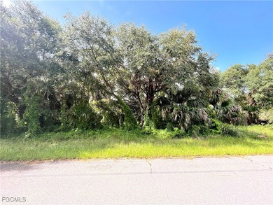 Port Charlotte Waterway Area Lot For Sale in Port Charlotte Florida
