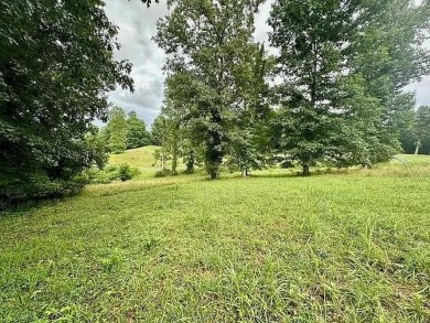 (private lake, pond, coastal) Lot For Sale in Blairsville Georgia