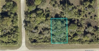 Lehigh Acres Area Lot For Sale in Lehigh Acres Florida