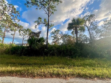Port Charlotte Waterway Area Lot For Sale in Port Charlotte Florida