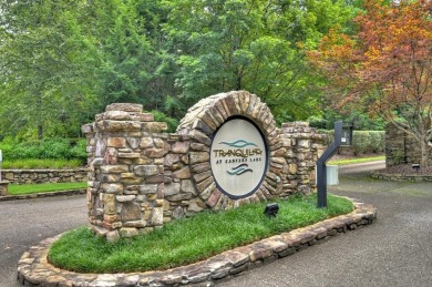 Lake Lot For Sale in Ellijay, Georgia