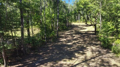 DON'T MISS OUT ON THIS GORGEOUS PROPERTY! NO HOA.Backing up to - photo 9