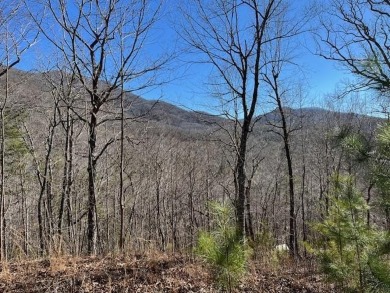 Lake Chatuge Lot For Sale in Hiawassee Georgia