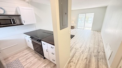 Absolutely beautifully remodeled condo offering fantastic lake - photo 6