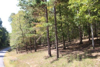 Great spot for a vacation cabin with this 3.25 wooded acre tract - Lake Acreage Sale Pending in Somerset, Kentucky