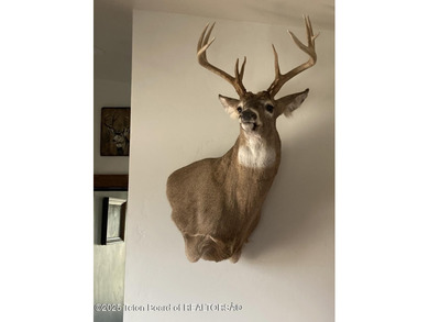 The Wind River Ranch is a family ranch that has been in - photo 15