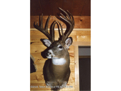 The Wind River Ranch is a family ranch that has been in - photo 16