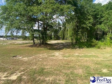 ONE ACRE WITH POND ACCESS! Located in the Oak Grove area just - photo 17