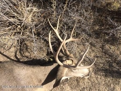 The Wind River Ranch is a family ranch that has been in - photo 17