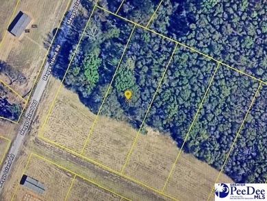 ONE ACRE WITH POND ACCESS! Located in the Oak Grove area just - photo 19