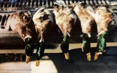 The Wind River Ranch is a family ranch that has been in - photo 22