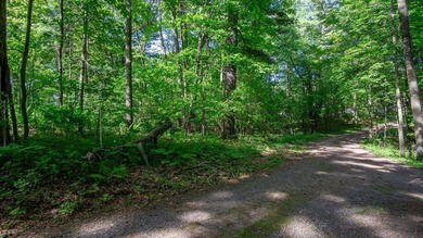 Nestled among towering pines and hardwoods on picturesque Two - photo 40