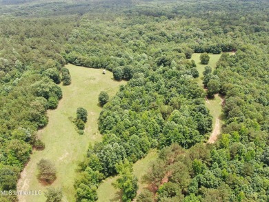 Lake Acreage For Sale in Hickory Flat, Mississippi