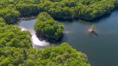 Nestled among towering pines and hardwoods on picturesque Two - photo 44