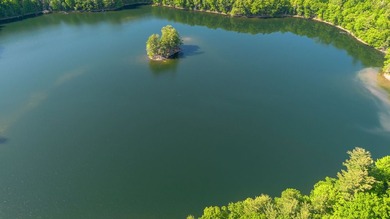 Nestled among towering pines and hardwoods on picturesque Two - photo 45