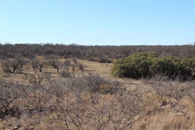 This offer is for one 15-acre homesite on County Road 206 - photo 3