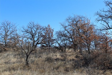 This offer is for one 15-acre homesite on County Road 206 - photo 10