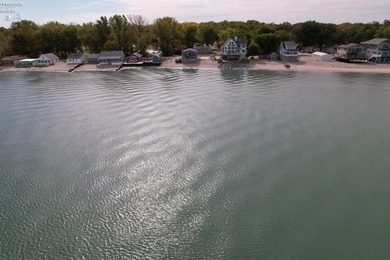 Lake Erie Dream Retreat - 102' of Private Lakefront with Beach - photo 14