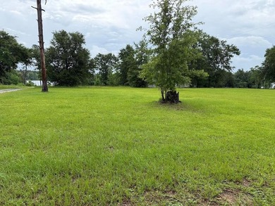 Don't miss this incredible chance to own 0.38 acres located - photo 1