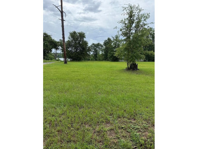 Don't miss this incredible chance to own 0.38 acres located - photo 2