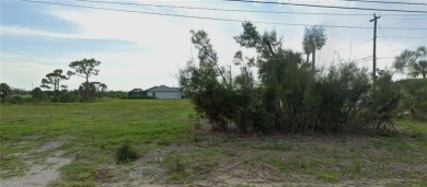 Lake Lot For Sale in Cape Coral, Florida