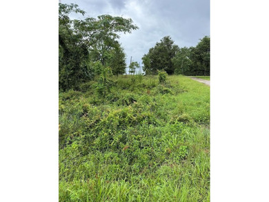 Don't miss this chance to own 0.26 acres located directly across - photo 1